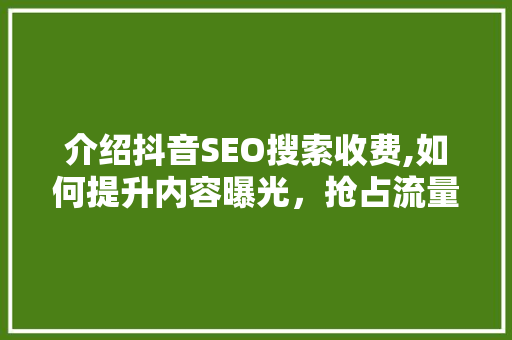 介绍抖音SEO搜索收费,如何提升内容曝光，抢占流量红利