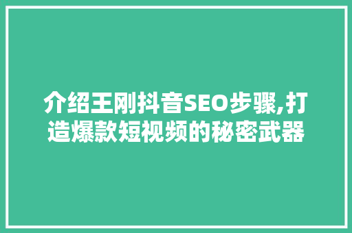 介绍王刚抖音SEO步骤,打造爆款短视频的秘密武器