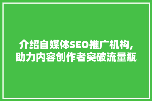 介绍自媒体SEO推广机构,助力内容创作者突破流量瓶颈