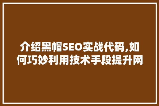 介绍黑帽SEO实战代码,如何巧妙利用技术手段提升网站排名