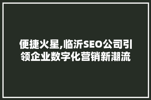 便捷火星,临沂SEO公司引领企业数字化营销新潮流