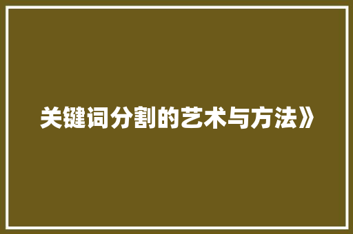 关键词分割的艺术与方法》