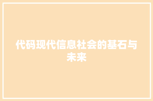代码现代信息社会的基石与未来