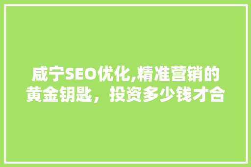 咸宁SEO优化,精准营销的黄金钥匙，投资多少钱才合适