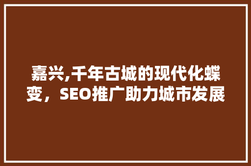嘉兴,千年古城的现代化蝶变，SEO推广助力城市发展