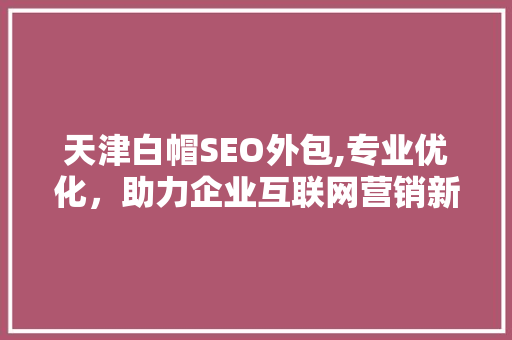 天津白帽SEO外包,专业优化，助力企业互联网营销新篇章