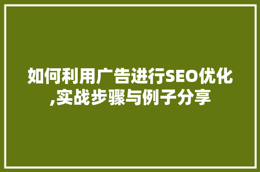 如何利用广告进行SEO优化,实战步骤与例子分享