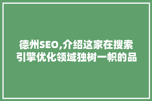 德州SEO,介绍这家在搜索引擎优化领域独树一帜的品牌