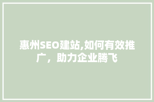 惠州SEO建站,如何有效推广，助力企业腾飞