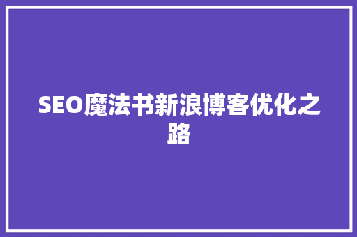 SEO魔法书新浪博客优化之路