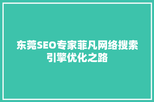 东莞SEO专家菲凡网络搜索引擎优化之路