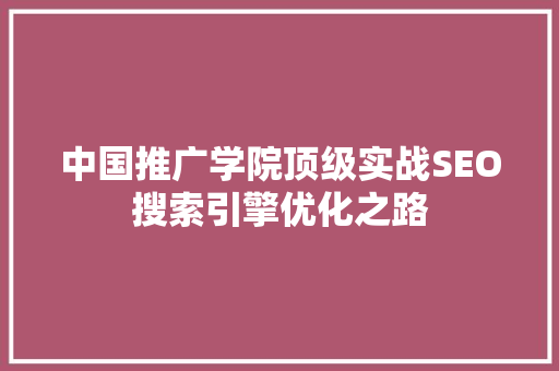 中国推广学院顶级实战SEO搜索引擎优化之路