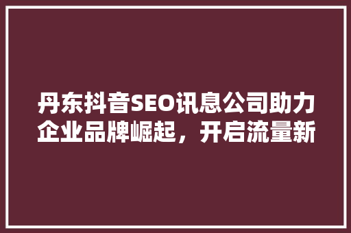 丹东抖音SEO讯息公司助力企业品牌崛起，开启流量新时代