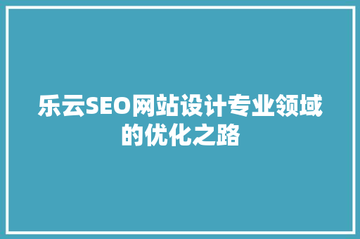 乐云SEO网站设计专业领域的优化之路