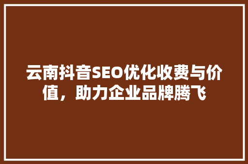 云南抖音SEO优化收费与价值，助力企业品牌腾飞