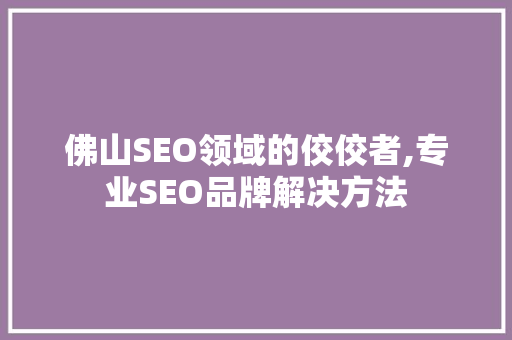 佛山SEO领域的佼佼者,专业SEO品牌解决方法