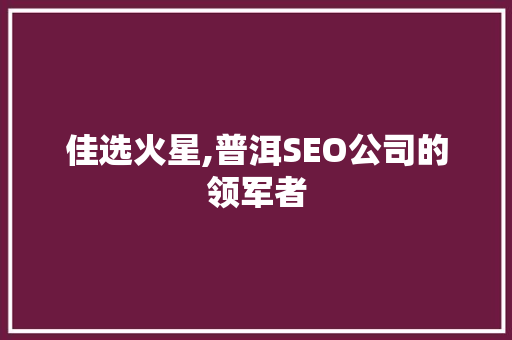 佳选火星,普洱SEO公司的领军者