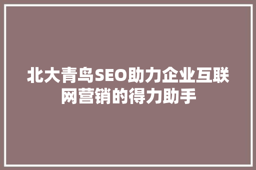 北大青鸟SEO助力企业互联网营销的得力助手