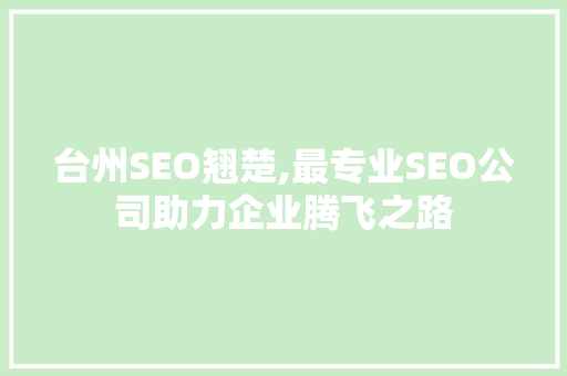 台州SEO翘楚,最专业SEO公司助力企业腾飞之路