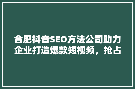 合肥抖音SEO方法公司助力企业打造爆款短视频，抢占流量红利