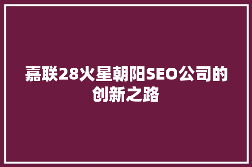 嘉联28火星朝阳SEO公司的创新之路