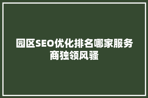 园区SEO优化排名哪家服务商独领风骚