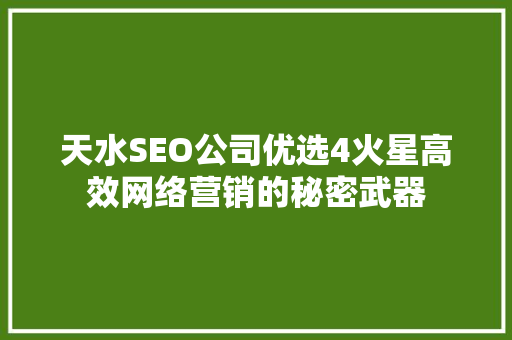 天水SEO公司优选4火星高效网络营销的秘密武器