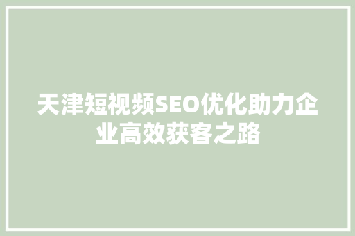 天津短视频SEO优化助力企业高效获客之路