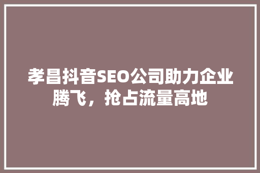 孝昌抖音SEO公司助力企业腾飞，抢占流量高地