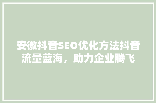 安徽抖音SEO优化方法抖音流量蓝海，助力企业腾飞