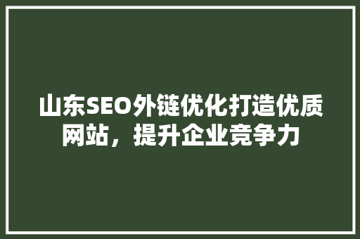 山东SEO外链优化打造优质网站，提升企业竞争力