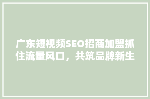 广东短视频SEO招商加盟抓住流量风口，共筑品牌新生态