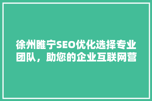 徐州睢宁SEO优化选择专业团队，助您的企业互联网营销翻涌起浪