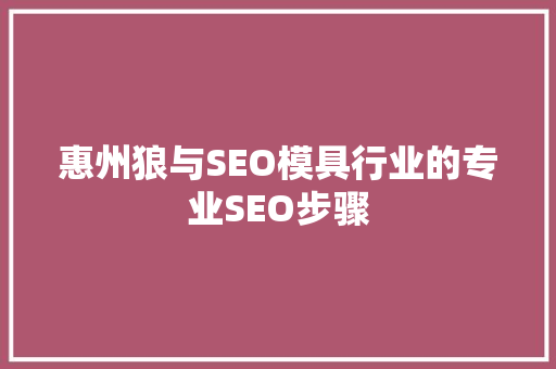 惠州狼与SEO模具行业的专业SEO步骤