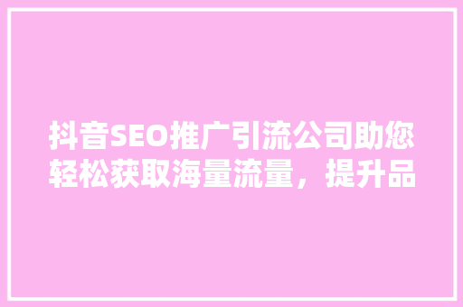 抖音SEO推广引流公司助您轻松获取海量流量，提升品牌知名度