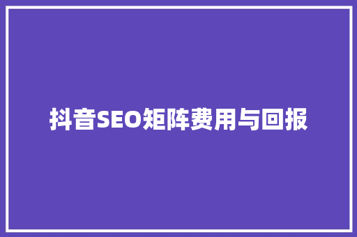 抖音SEO矩阵费用与回报