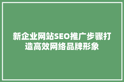 新企业网站SEO推广步骤打造高效网络品牌形象