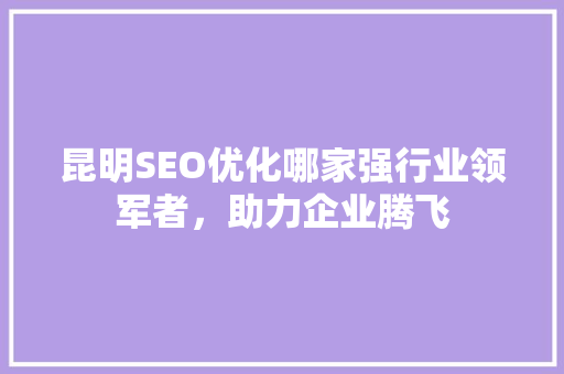 昆明SEO优化哪家强行业领军者，助力企业腾飞  第1张