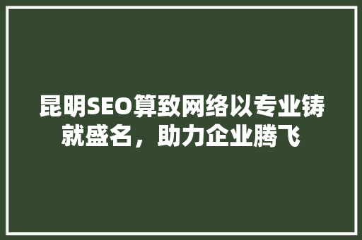 昆明SEO算致网络以专业铸就盛名，助力企业腾飞