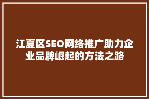 江夏区SEO网络推广助力企业品牌崛起的方法之路