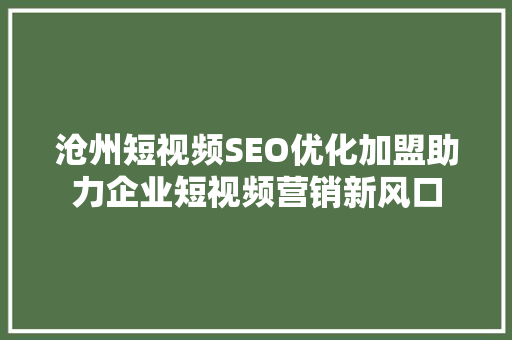 沧州短视频SEO优化加盟助力企业短视频营销新风口
