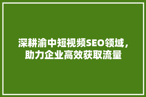 深耕渝中短视频SEO领域，助力企业高效获取流量