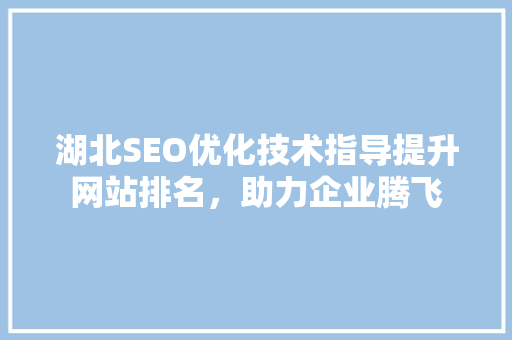 湖北SEO优化技术指导提升网站排名，助力企业腾飞