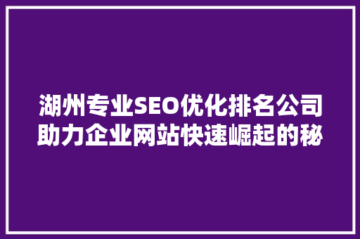湖州专业SEO优化排名公司助力企业网站快速崛起的秘密武器