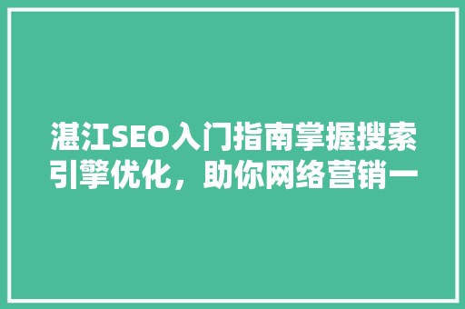 湛江SEO入门指南掌握搜索引擎优化，助你网络营销一臂之力