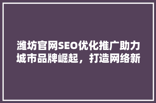 潍坊官网SEO优化推广助力城市品牌崛起，打造网络新名片