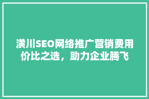 潢川SEO网络推广营销费用价比之选，助力企业腾飞