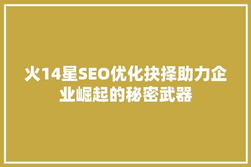 火14星SEO优化抉择助力企业崛起的秘密武器