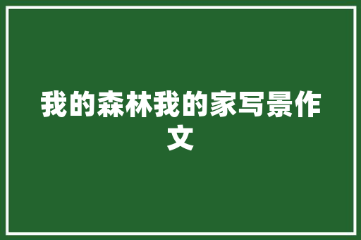 儒林镇历史与现代的交汇点