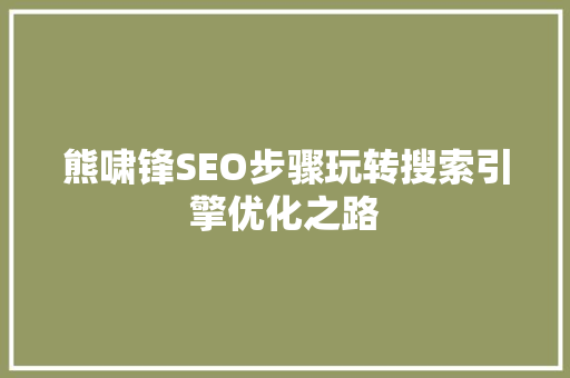 熊啸锋SEO步骤玩转搜索引擎优化之路